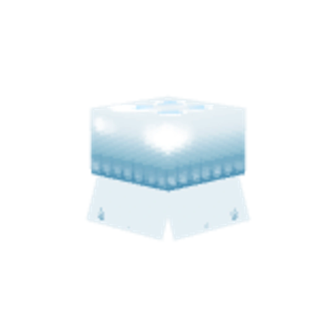 Miniatura Ángulo Trasero