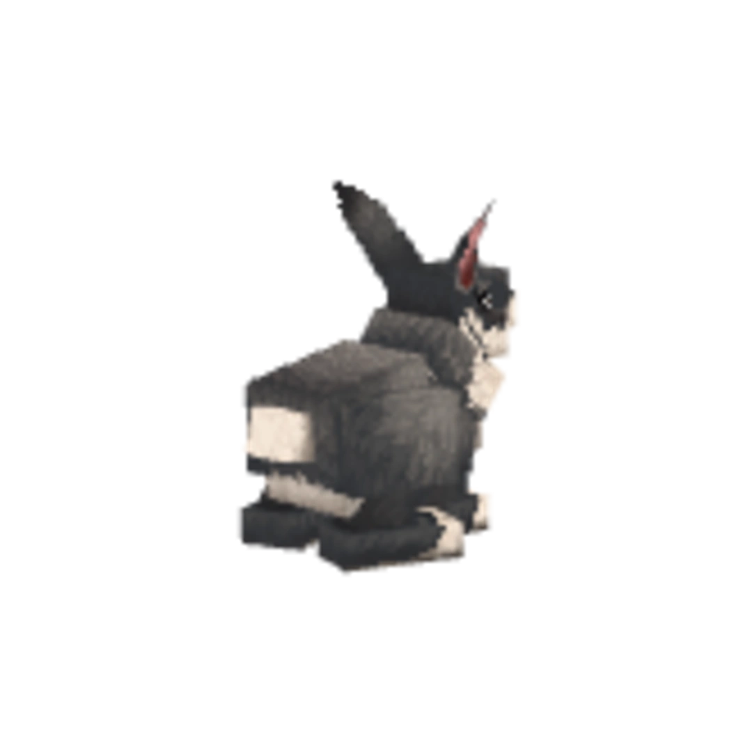 Miniatura Ángulo Trasero