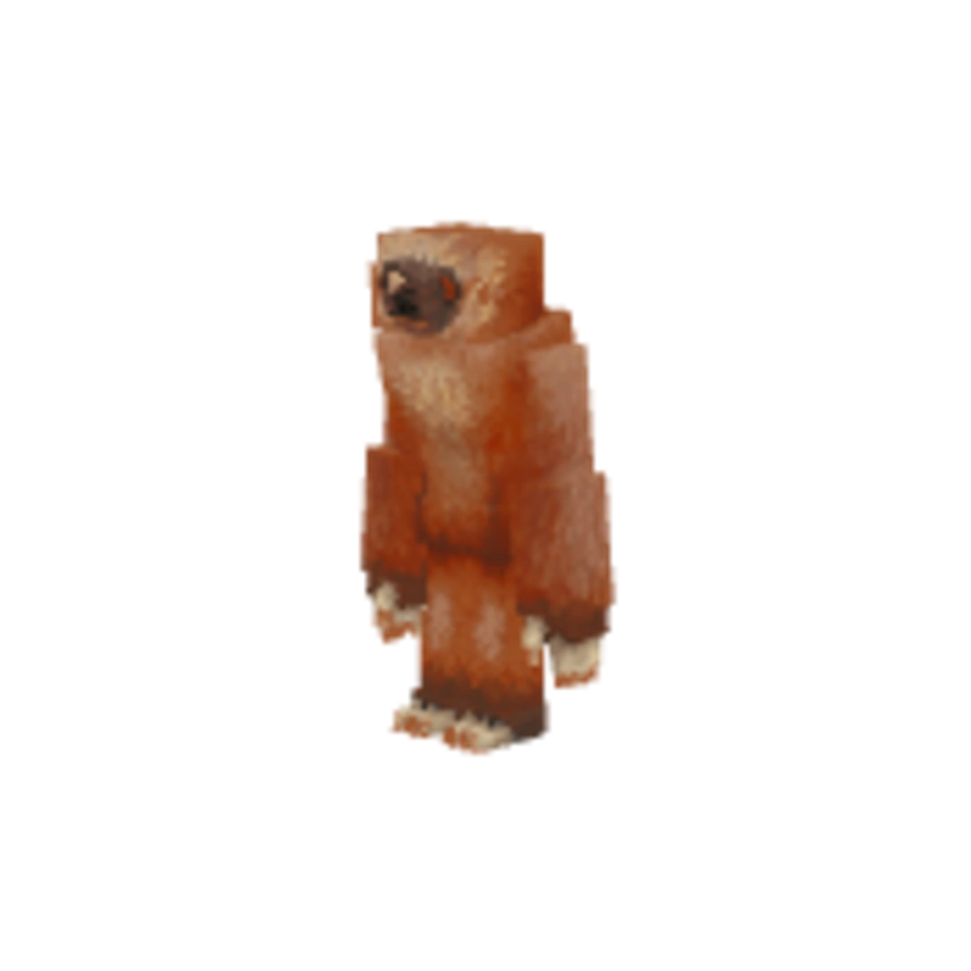 Miniatura Ángulo Frontal